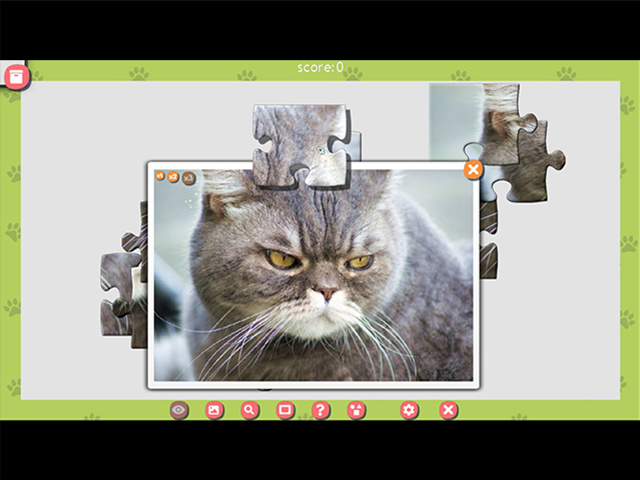 1001 Jigsaw Cute Cats 3 | Big Fish