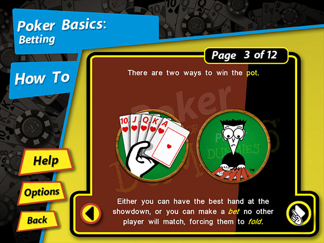 Poker for Dummies — game screenshot