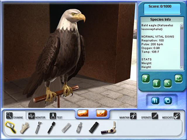 zoo vet 2 endangered animals game — game screenshot